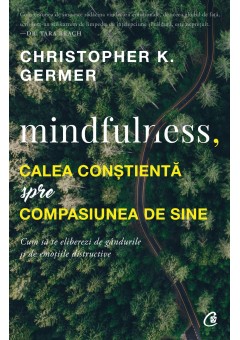 Mindfulness, calea const..